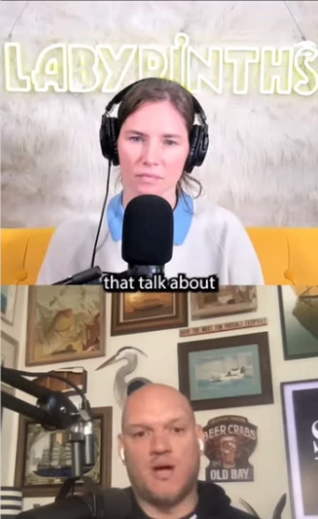 Amanda Knox on top and me below, on her podcast.